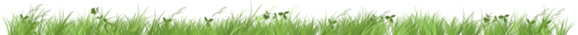 www.fitorelax.ru